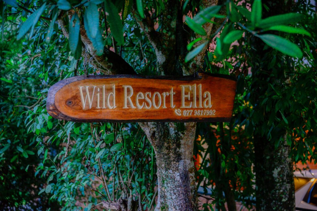 wild-resort-ella